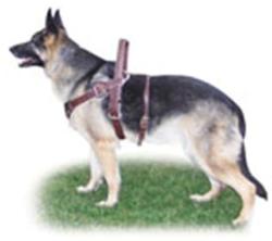 Double-Strap Support Assistance Harness