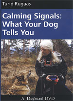 	 Calming Signals: What Your Dog Tells You